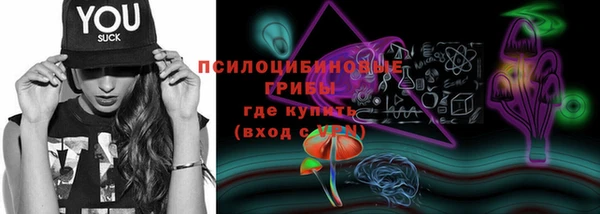 марки nbome Гусев