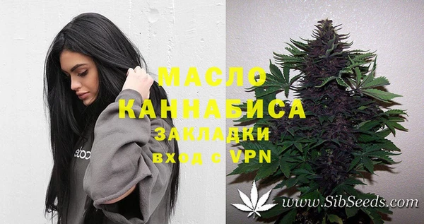 мяу мяу кристалл Гусь-Хрустальный