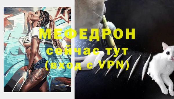 мяу мяу кристалл Гусь-Хрустальный