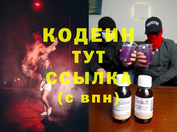 мяу мяу кристалл Гусь-Хрустальный
